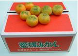 極早生みかん