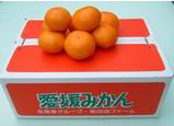 早生みかん