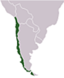南米 チリ